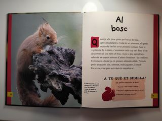 El petit esquirol (I tu, qui ets? Animals) (Cat...
