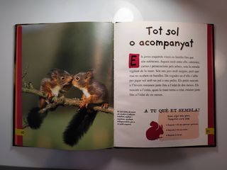El petit esquirol (I tu, qui ets? Animals) (Cat...
