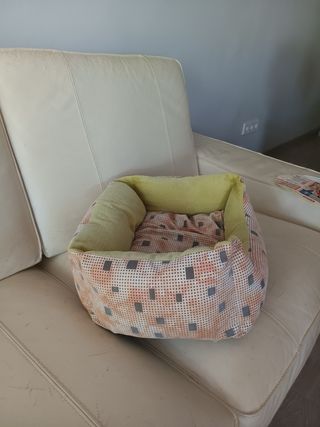 Cama para mascota - Beige y Verde