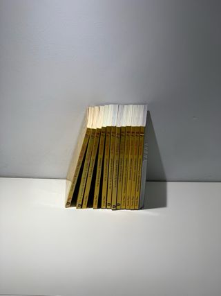Gerónimo Stilton Saga Amarilla – 12 libros 