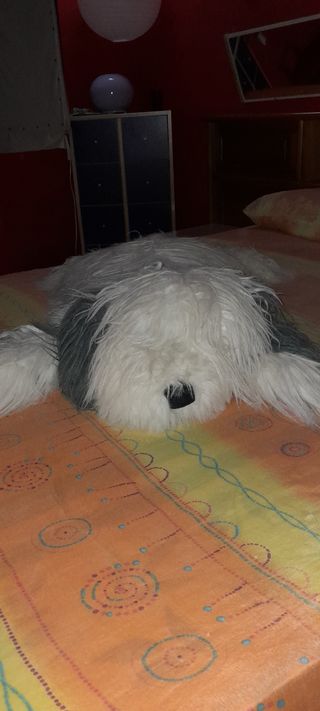 Peluche perro Bobtail