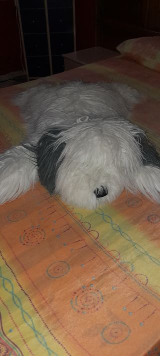 Peluche perro Bobtail