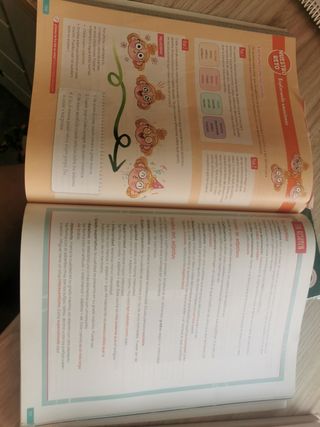 Lengua Castellana y Literatura. 1 Secundaria. R...
