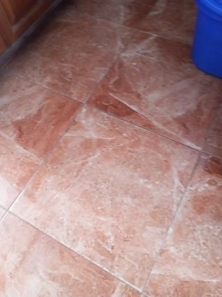 Cambio plato ducha y alicatado