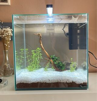 Acuario 33L - Pecera de cristal