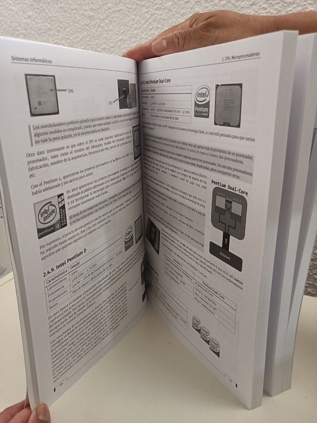 Sistemas Informáticos (Spanish Edition)