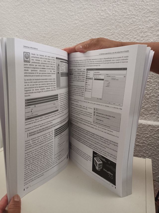 Sistemas Informáticos (Spanish Edition)