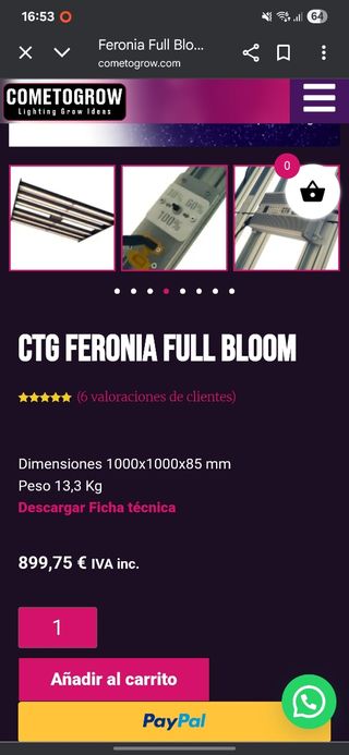 Luminaria CTG Feronia Full Bloom