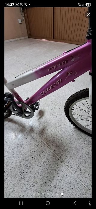Bicicleta  con ruedines