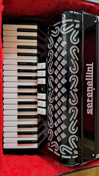 Acordeón Serenellini 96 bajos