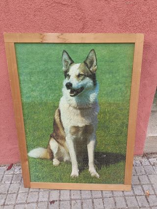 3 cuadros enmarcados: Música, Perro, Acuario