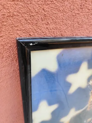 3 cuadros enmarcados: Música, Perro, Acuario