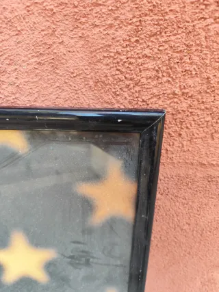 3 cuadros enmarcados: Música, Perro, Acuario