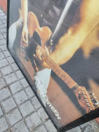 3 cuadros enmarcados: Música, Perro, Acuario