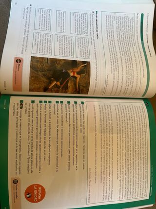 Lengua Castellana y Literatura 1