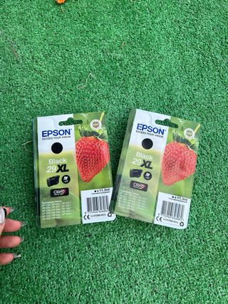 2 Cartuchos Epson 29XL Negro nuevo