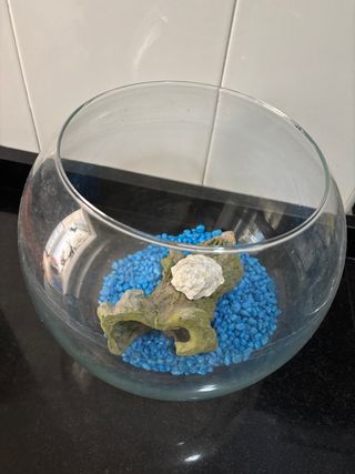 Pecera redonda de cristal