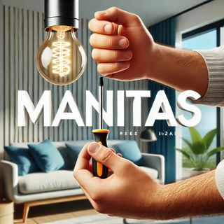 Servicio profesional de manitas