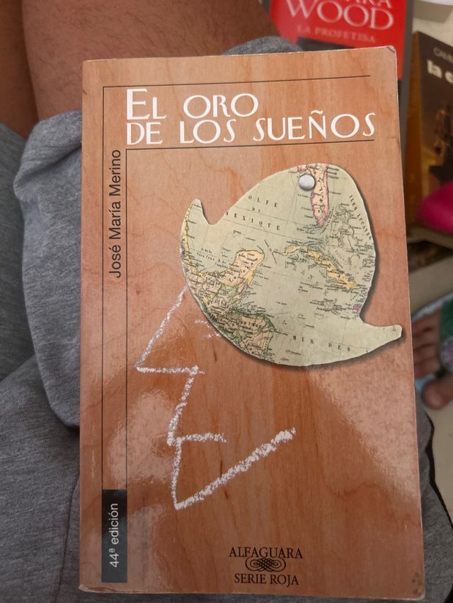 El oro de los sueños (Serie Roja. A partir de 1...