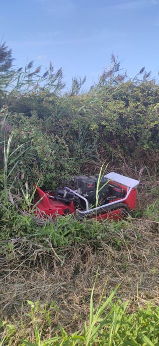 Desbrozadora robot: Segadora radiocontrol