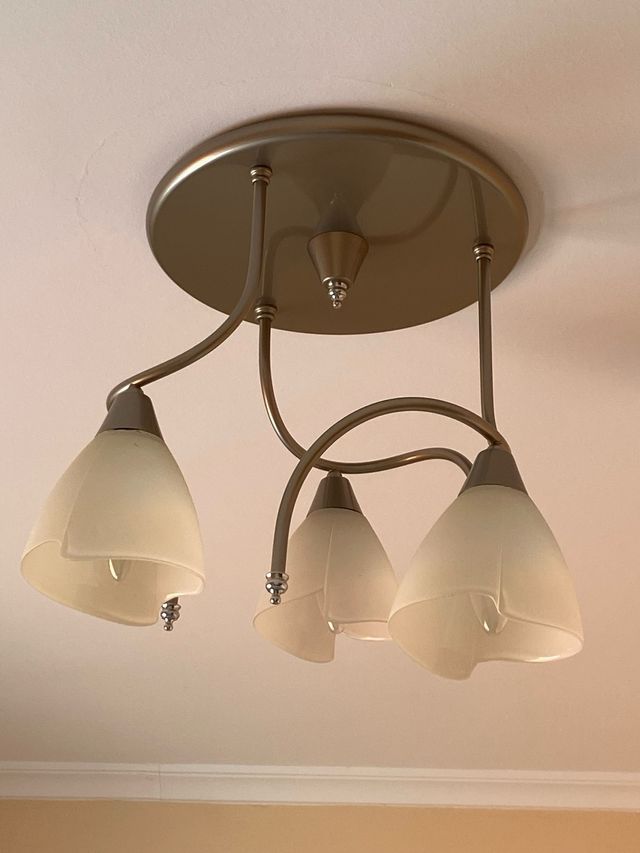 Lámpara techo 3 luces - Moderna