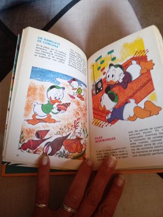 Walt Disney. Biblioteca de los Jóvenes Castores...