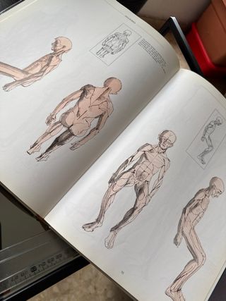 dibujo Anatomía, perspectiva y composición 3x2