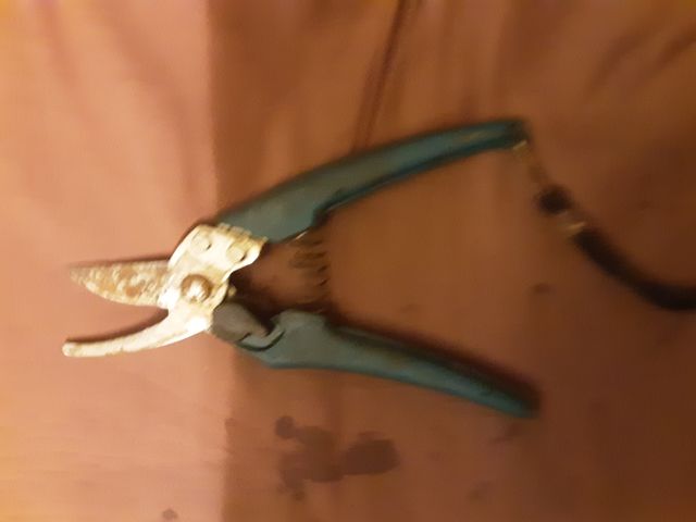 Tijeras de podar - 2 unidades