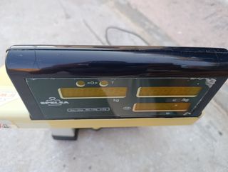 Bascula Epelsa fruteria