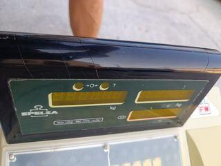 Bascula Epelsa fruteria