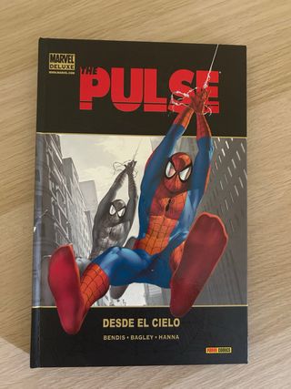 The Pulse - Desde el Cielo