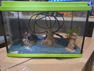 Acuario transparente con tapa verde