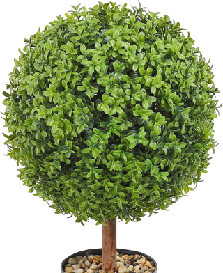 Pianta Artificiale in Bosso 2 Alberi 559 mm Piante