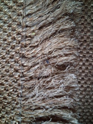 Tappeto da corridoio in sisal verde | Corridoio