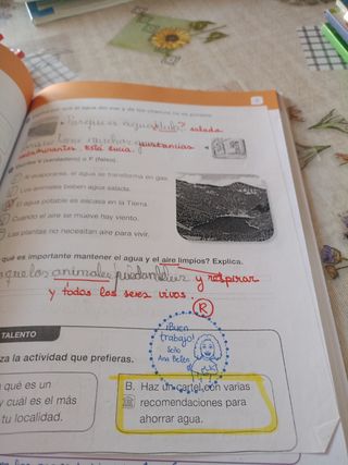 CIENCIAS SOCIALES MEC 2 PRIMARIA SABER HACER