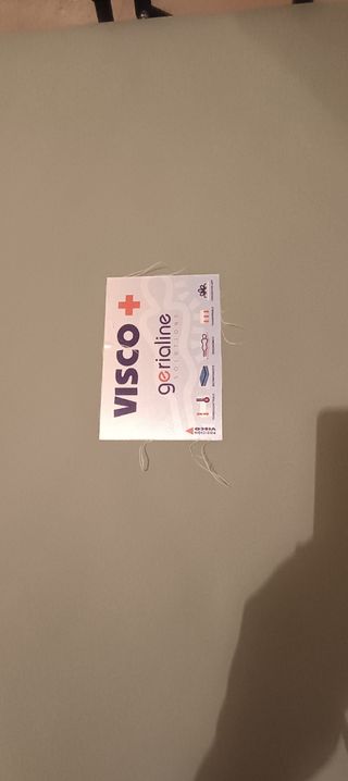 Cama articulada eléctrica