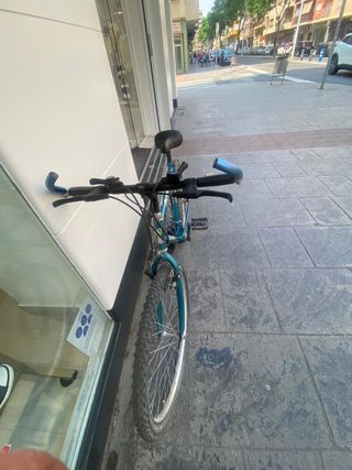 Bicicleta montaña Michelin