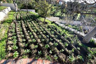 Chalet en alquiler en Monterrey - Rancho Domingo en Benalmádena