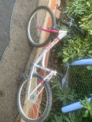 Bicicleta montaña 24 pulgadas
