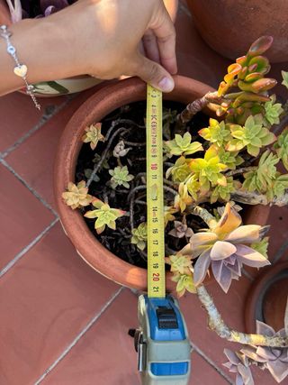 Piccola fioriera artigianale dipinta