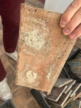 Azulejos antiguos Ramos Rejano