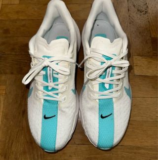 Zapatillas Nike Air Pegasus 41