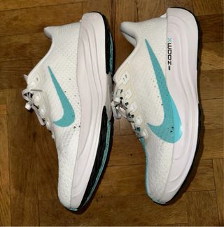 Zapatillas Nike Air Pegasus 41