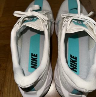 Zapatillas Nike Air Pegasus 41