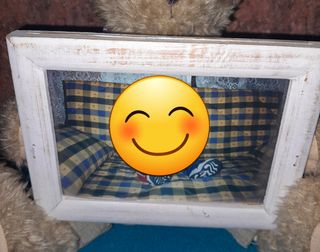 Osito peluche con marco foto