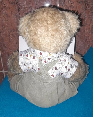 Osito peluche con marco foto