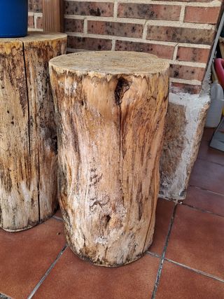 4 Taburete tronco árbol rústico