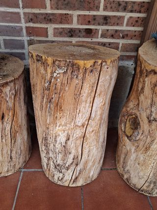 4 Taburete tronco árbol rústico