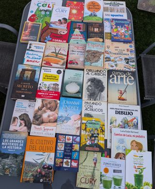 Lote Libros Varios