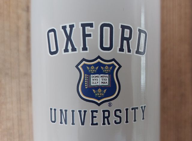 Botella térmica 500 ml Oxford University. Sin estr